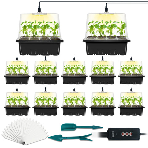 LYDTICK seed starter tray with grow light supports indoor germination and steady growth.