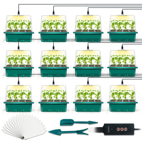 LYDTICK seed starter tray with grow light powers indoor germination and even growth