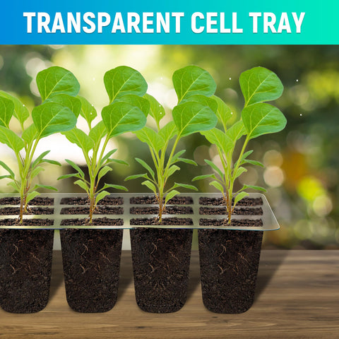 LYDTICK transparent seed tray lets you monitor progress without disturbance