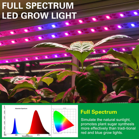 LYGZM 120-LED full-spectrum close-up showing even light delivery