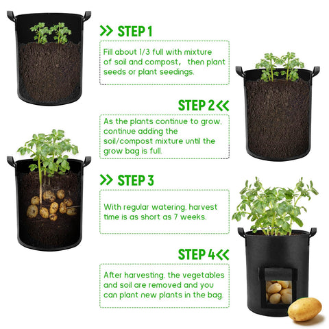 Lyincat 10-gallon bag interior view with ample root space.