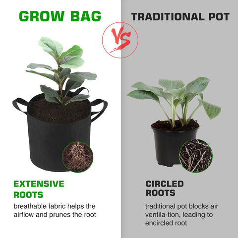 Lyincat 12-pack set provides ample bags for varied crops