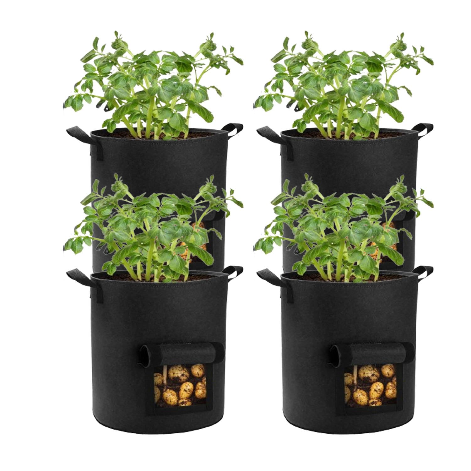 Lyincat 4-pack grow bags with flap and handles for harvest-ready potatoes.