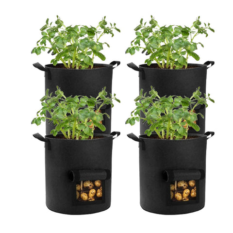 Lyincat 4-pack grow bags with flap and handles for harvest-ready potatoes.