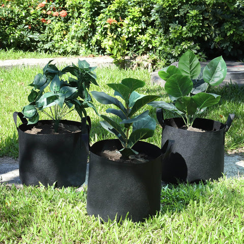 Lyincat eco-friendly nonwoven fabric supports sustainable container gardening