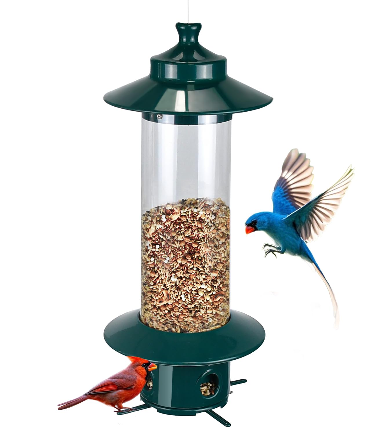 LYKENTOR squirrel-proof bird feeder outdoors with visible seed capacity and birds feeding