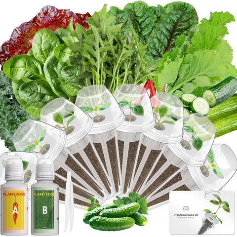 LYKOCLEAN 8-pod salad seed kit for AeroGarden ready for home growing