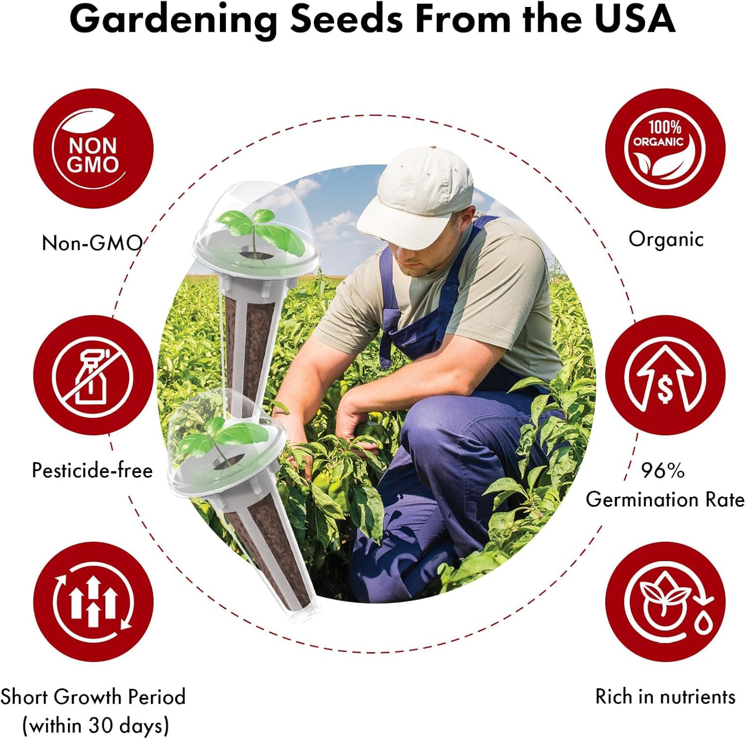 LYKOCLEAN heirloom non-GMO USA seeds for year-round harvest