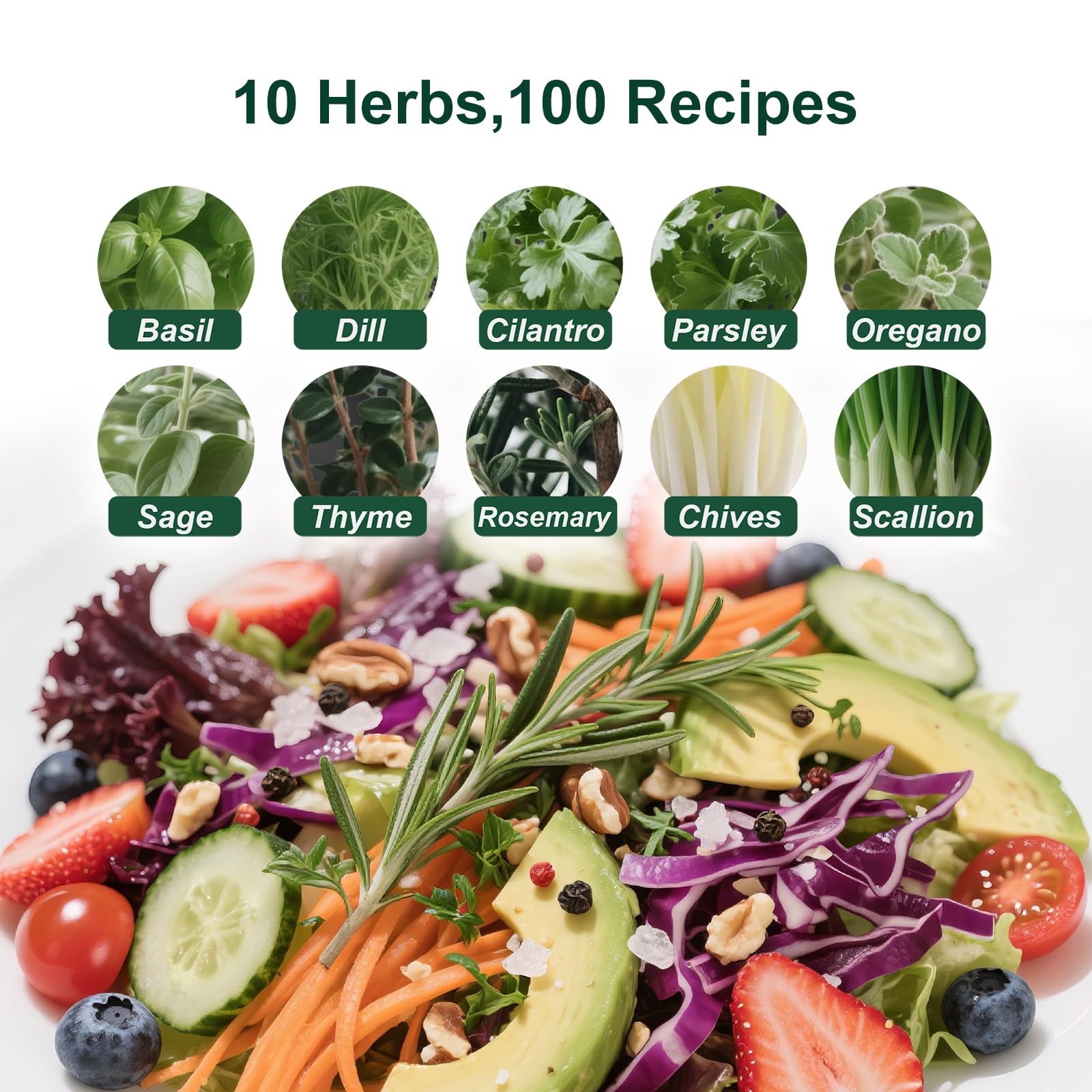 LYKOCLEAN herb seeds for basil dill cilantro parsley oregano sage thyme rosemary chives and scallion