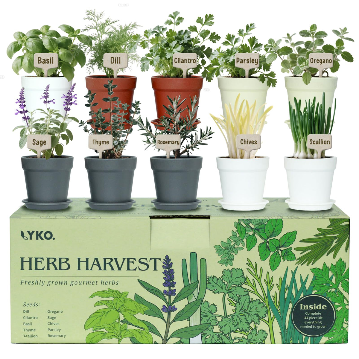 LYKOCLEAN indoor herb garden kit with four color pots brightens the kitchen space and encourages fresh herbs