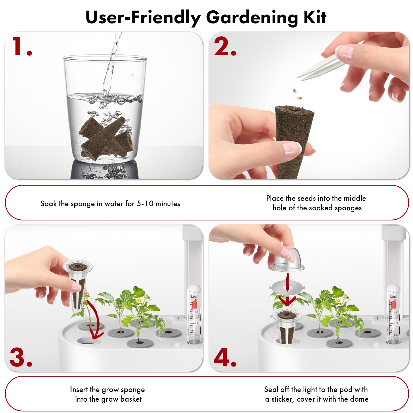 LYKOCLEAN non-GMO seeds with high germination potential