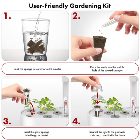 LYKOCLEAN non-GMO seeds with high germination potential
