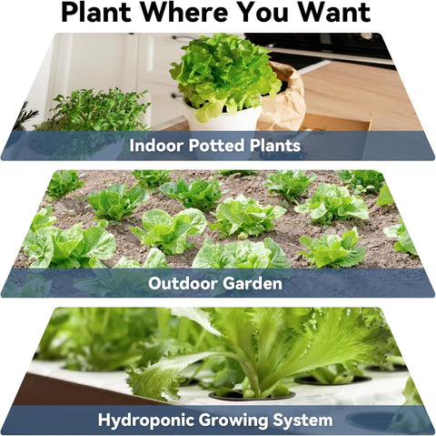 LYKOCLEAN A&B plant food with essential nutrients for growth