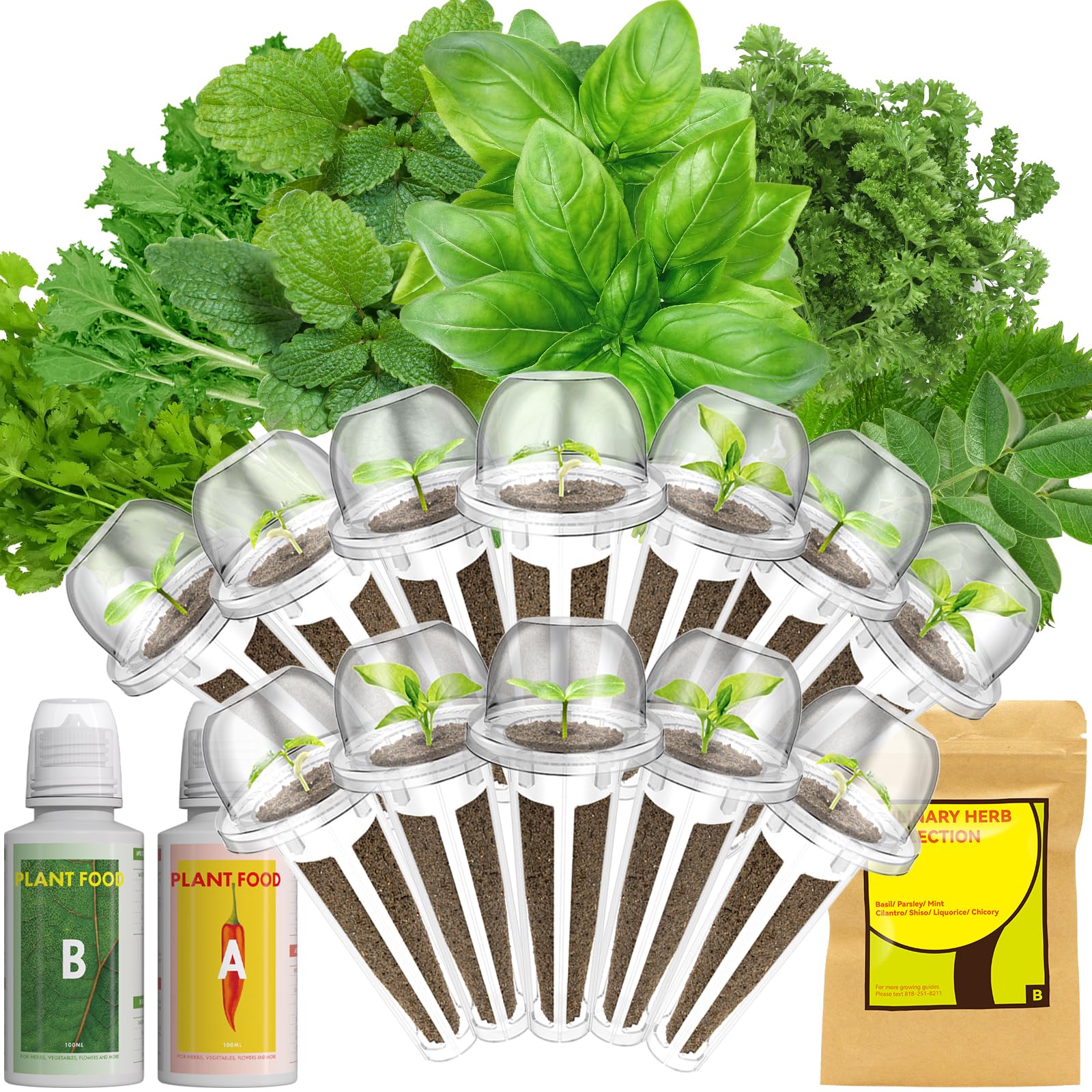 LykoClean seed pod kit contents with grow sponges and labels for easy hydroponics.