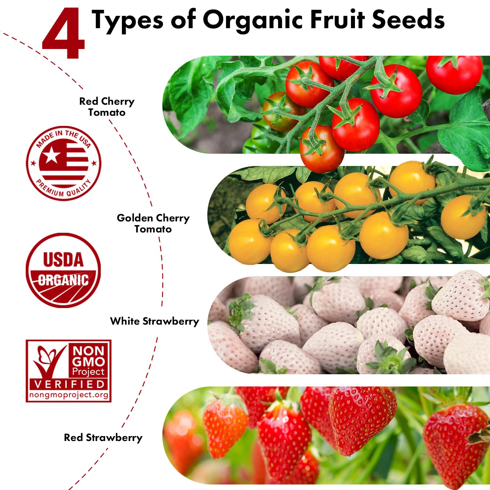 LYKOCLEAN seed pods for Ahopegarden enabling colorful, tasty yields