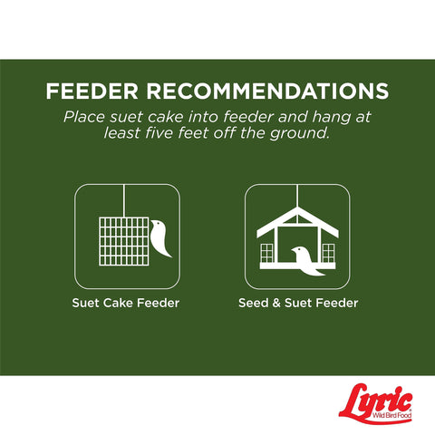 Lyric Backyard bird activity with high-energy suet pieces