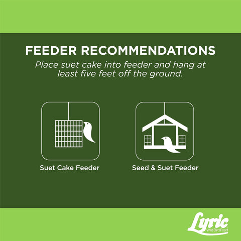 Lyric Fine Tunes enhances backyard birdwatching with protein-rich suet