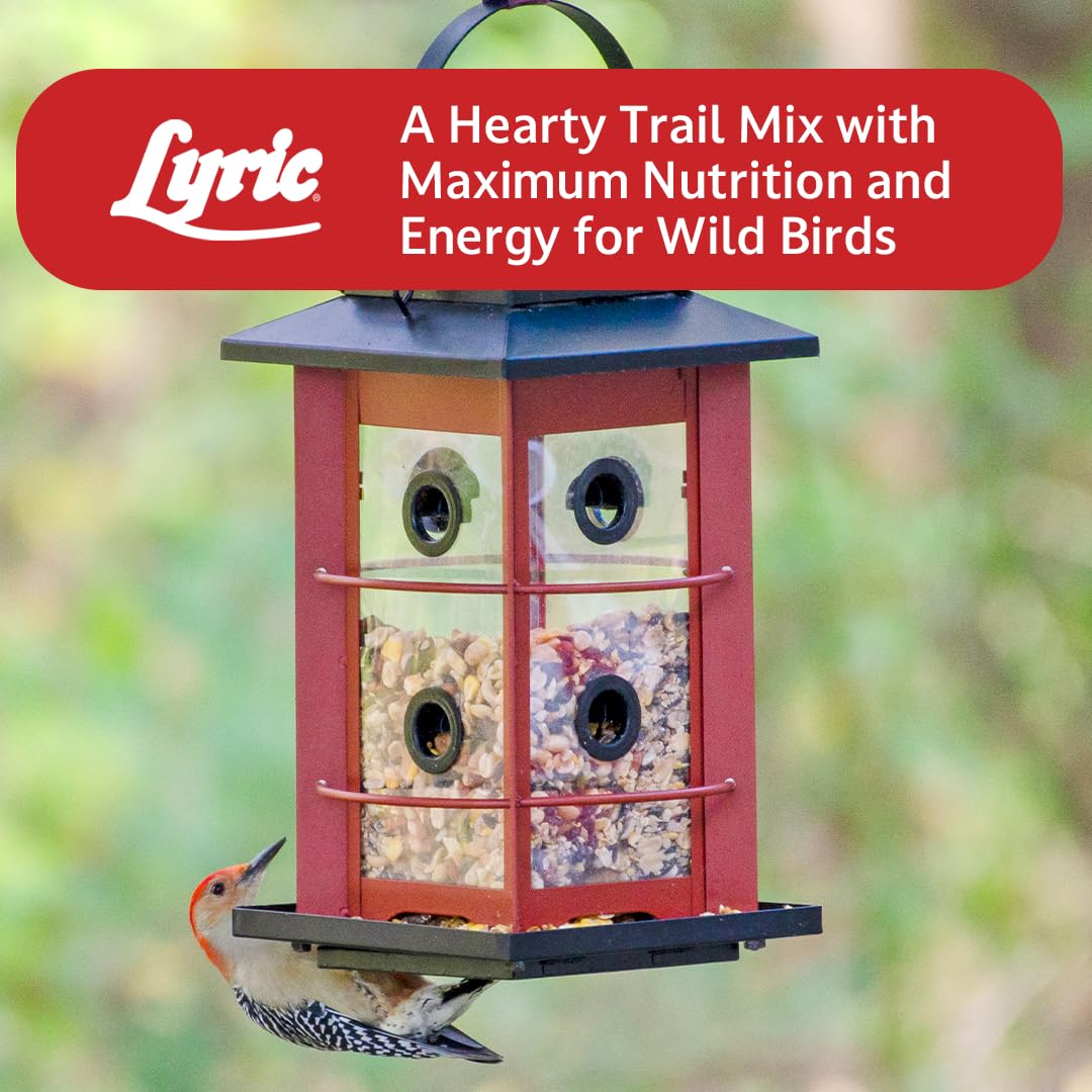 Lyric backyard birdwatching with seed encourages easy, ongoing feeding.