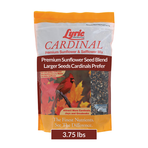 Lyric Cardinal seed mix in outdoor feeder attracts cardinals and other songbirds.