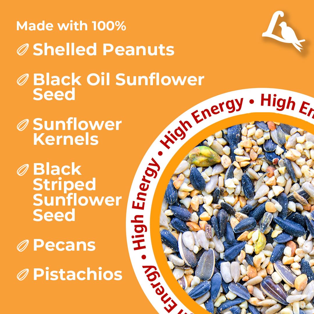 Outdoor feeder setup with Lyric Chickadee seed promotes diverse songbirds