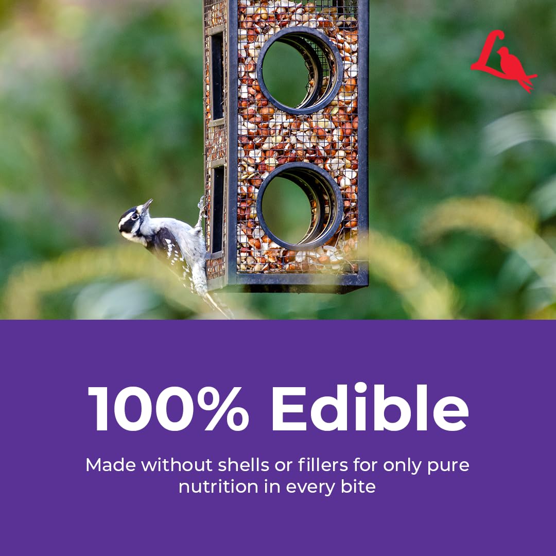 Lyric Delite feeder-friendly to fit tube and tray setups