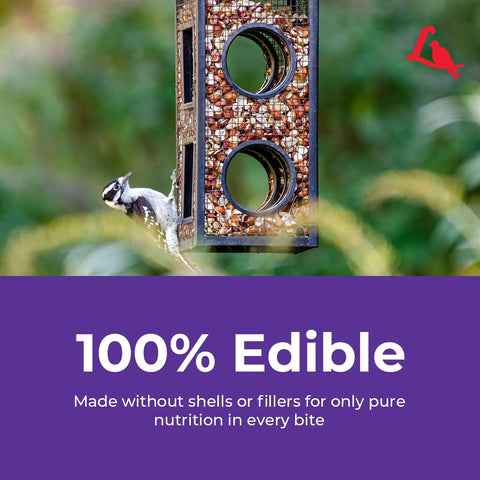 Lyric Delite feeder-friendly to fit tube and tray setups