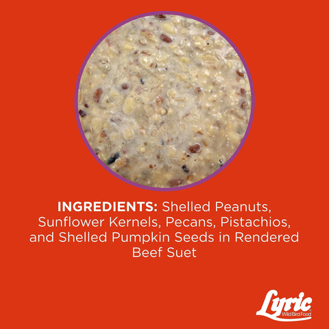 Lyric Delite hand placing a suet cake for easy backyard feeding.