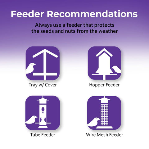 Lyric Delite high-protein blend supports daily bird activity