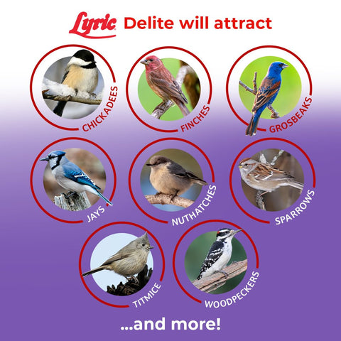 Lyric Delite patio-friendly seed mix for deck feeders