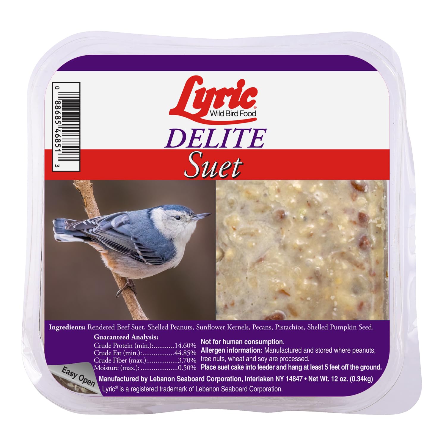 Lyric Delite suet cake close-up with high-protein ingredients for energetic backyard birds.