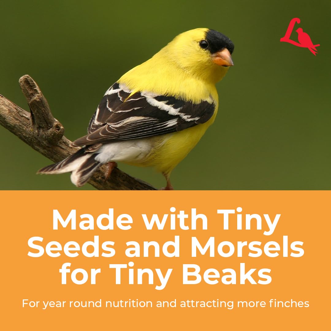 Lyric Finch all-natural blend serving daily bird feeding