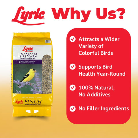 Lyric Finch nyjer-seed blend with finches feeding