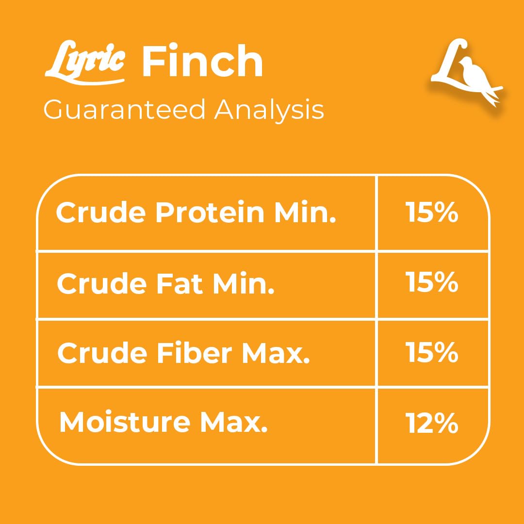 Lyric Finch outdoors with wild birds visiting feeder