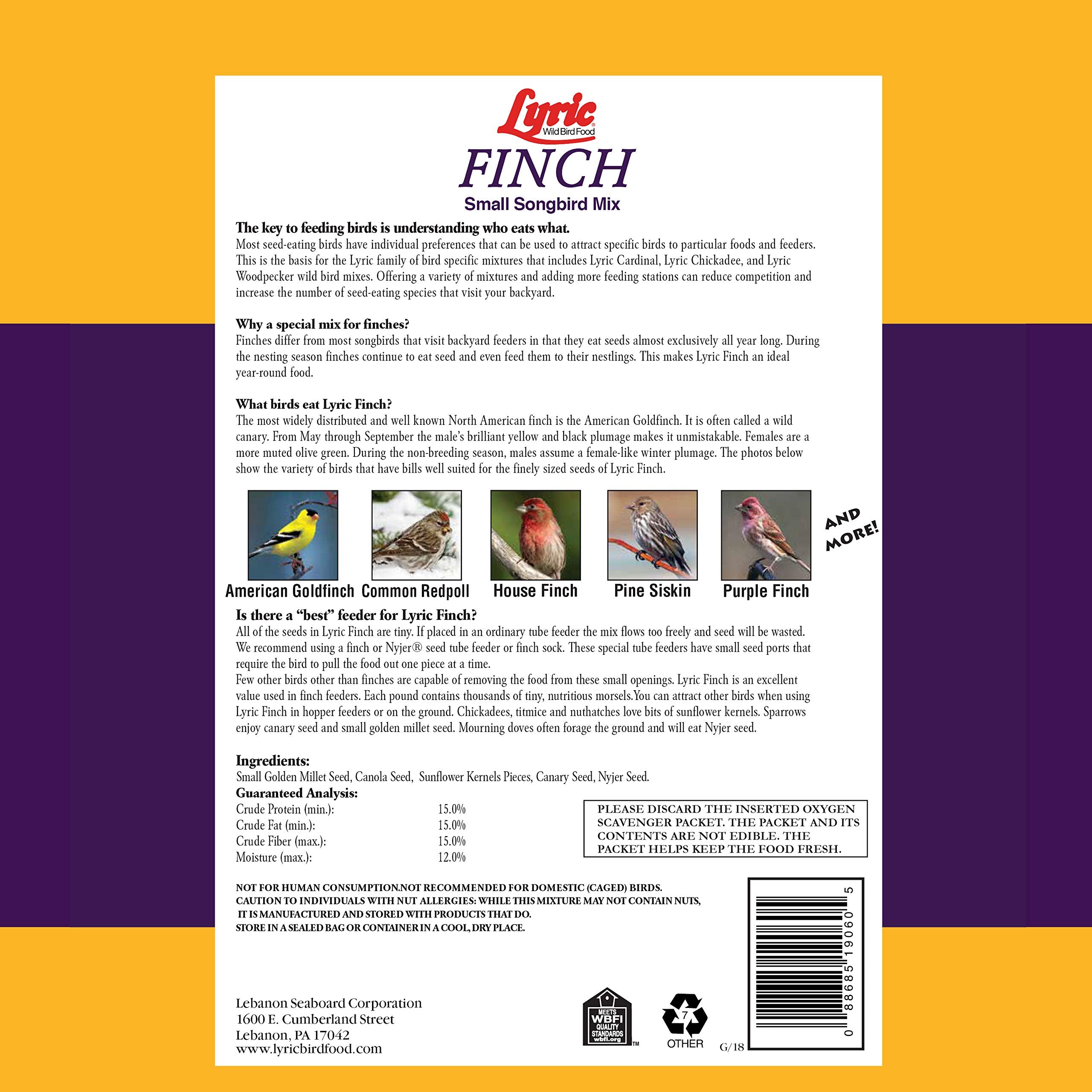 Lyric Finch small-seed mix at feeder ideal for finches