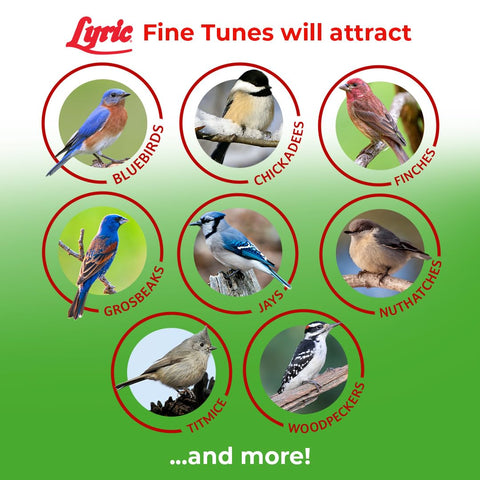 Lyric Fine Tunes helps cardinals and other songbirds feed.