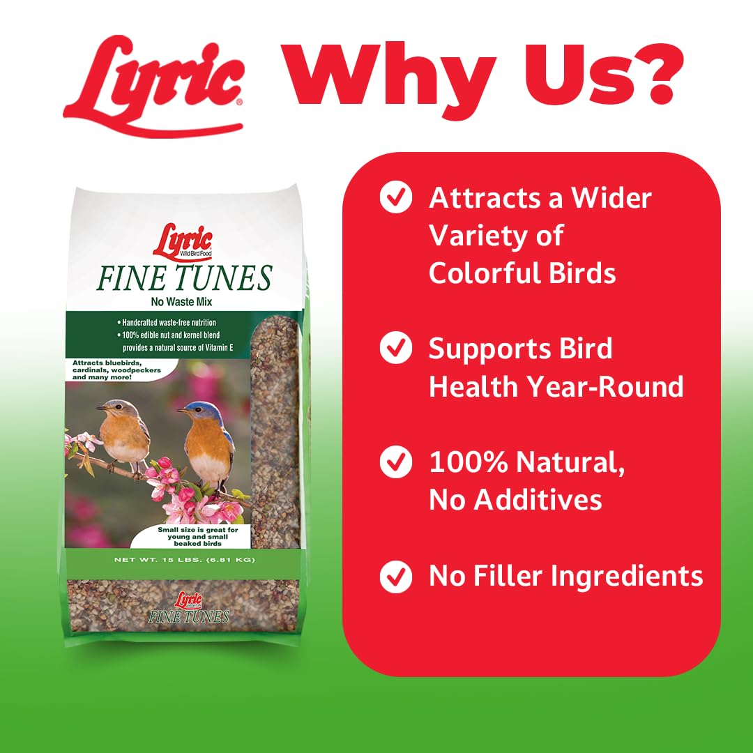 Lyric Fine Tunes Mix ideal for small-beak birds like chickadees.