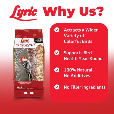Lyric fruit and nut blend close-up reveals nuts and dried fruits for energy.