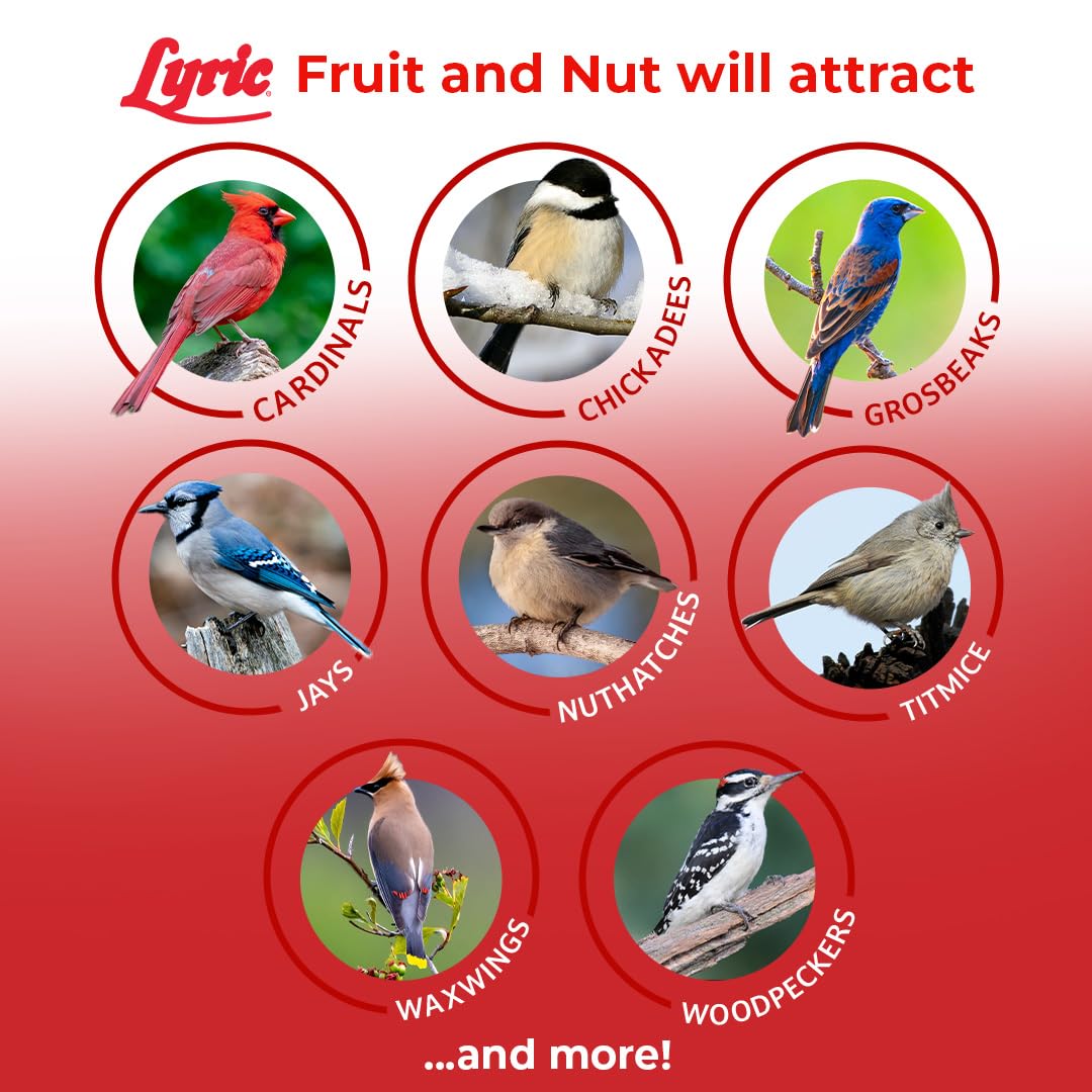 Lyric Fruit and Nut Wild Bird Seed compatible with hopper and tray feeders.
