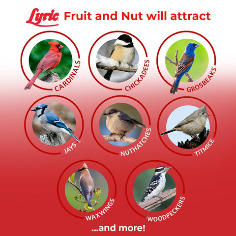 Lyric Fruit and Nut Wild Bird Seed compatible with hopper and tray feeders.