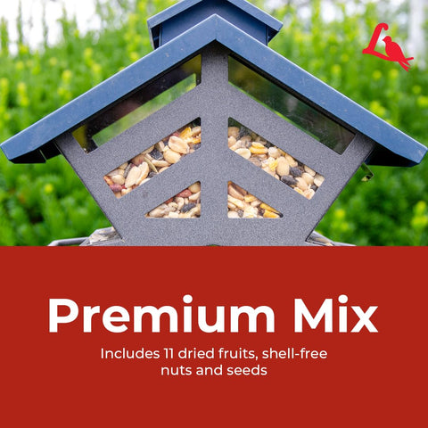 Lyric Fruit and Nut Wild Bird Seed in a garden feeding scene.