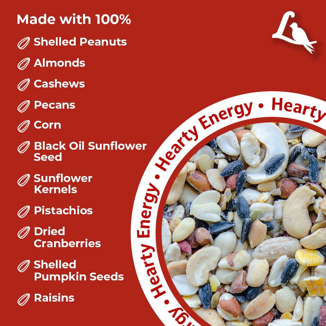 Lyric wild bird seed spill near feeder highlights all-natural composition.