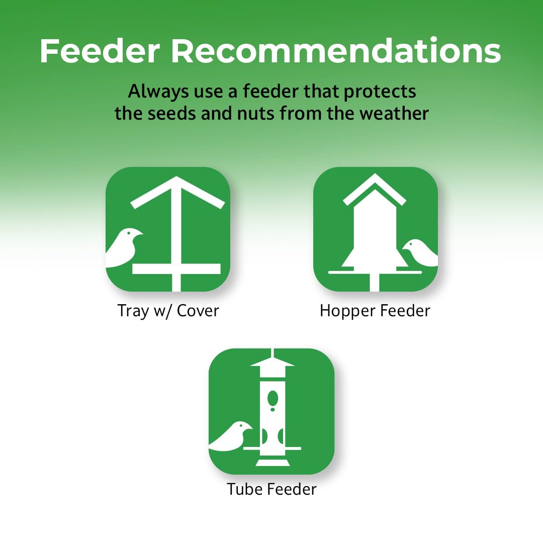 Lyric hopper feeder setup shows versatile outdoor feeding