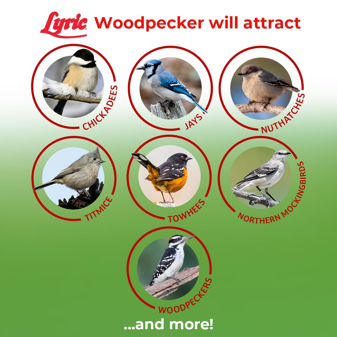 Lyric outdoor seed suitable for mesh tube, hopper, and tray feeders