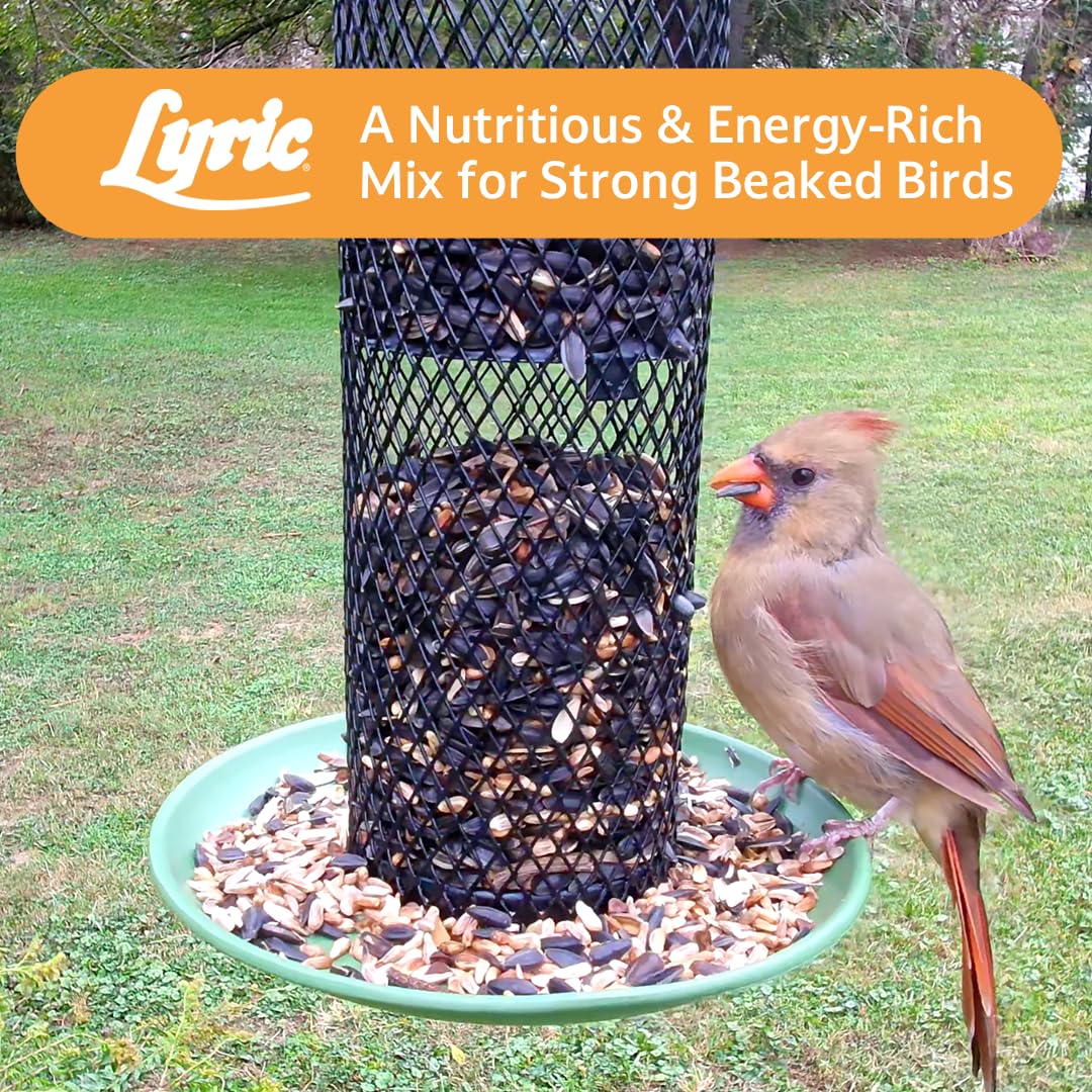 Lyric nutritious seed blend supports year-round backyard birdwatching enjoyment.