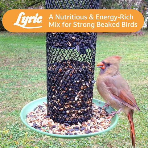 Lyric nutritious seed blend supports year-round backyard birdwatching enjoyment.
