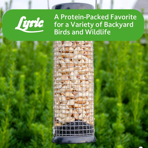 Lyric Peanut Pieces label highlighting ingredients and usage.
