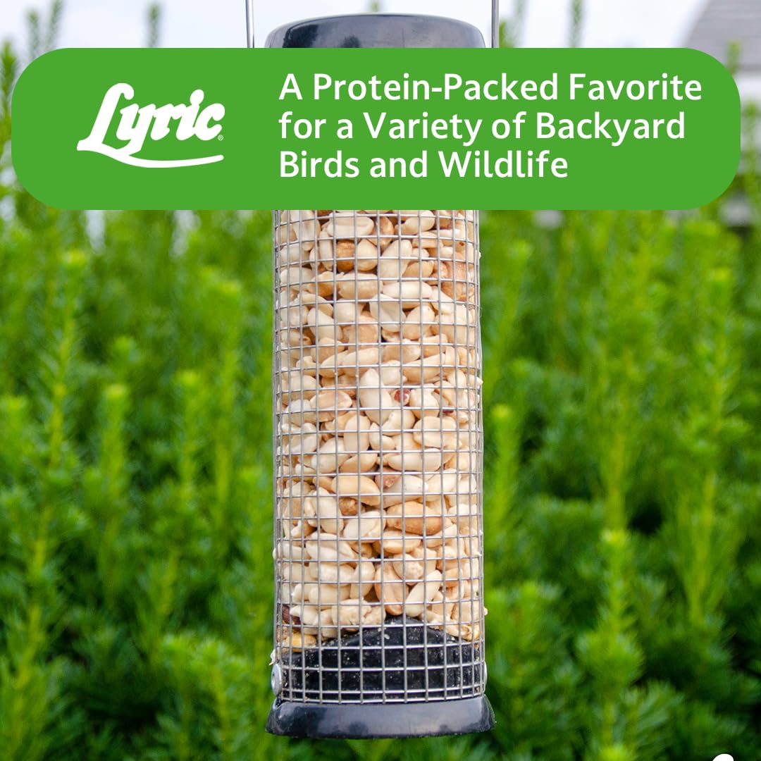 Outdoor feeding setup showing Lyric Peanut Pieces delivering protein and fat to wild birds