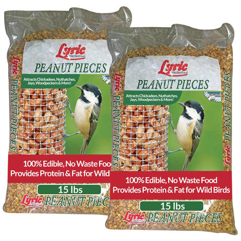 Lyric Peanut Pieces bag for outdoor bird feeders attracts songbirds.