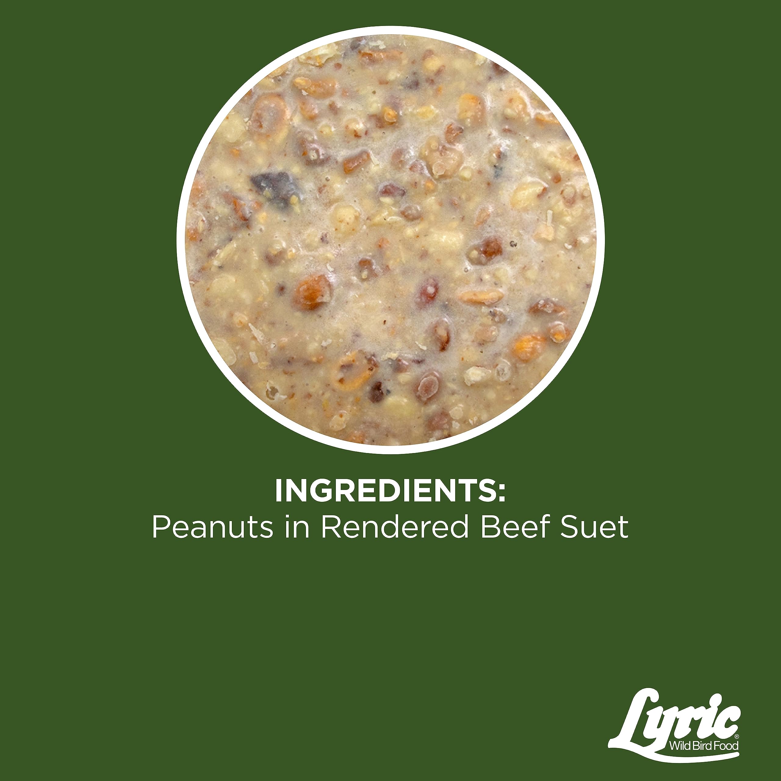 Lyric Rendered beef suet mix closeup emphasizes fat for active birds