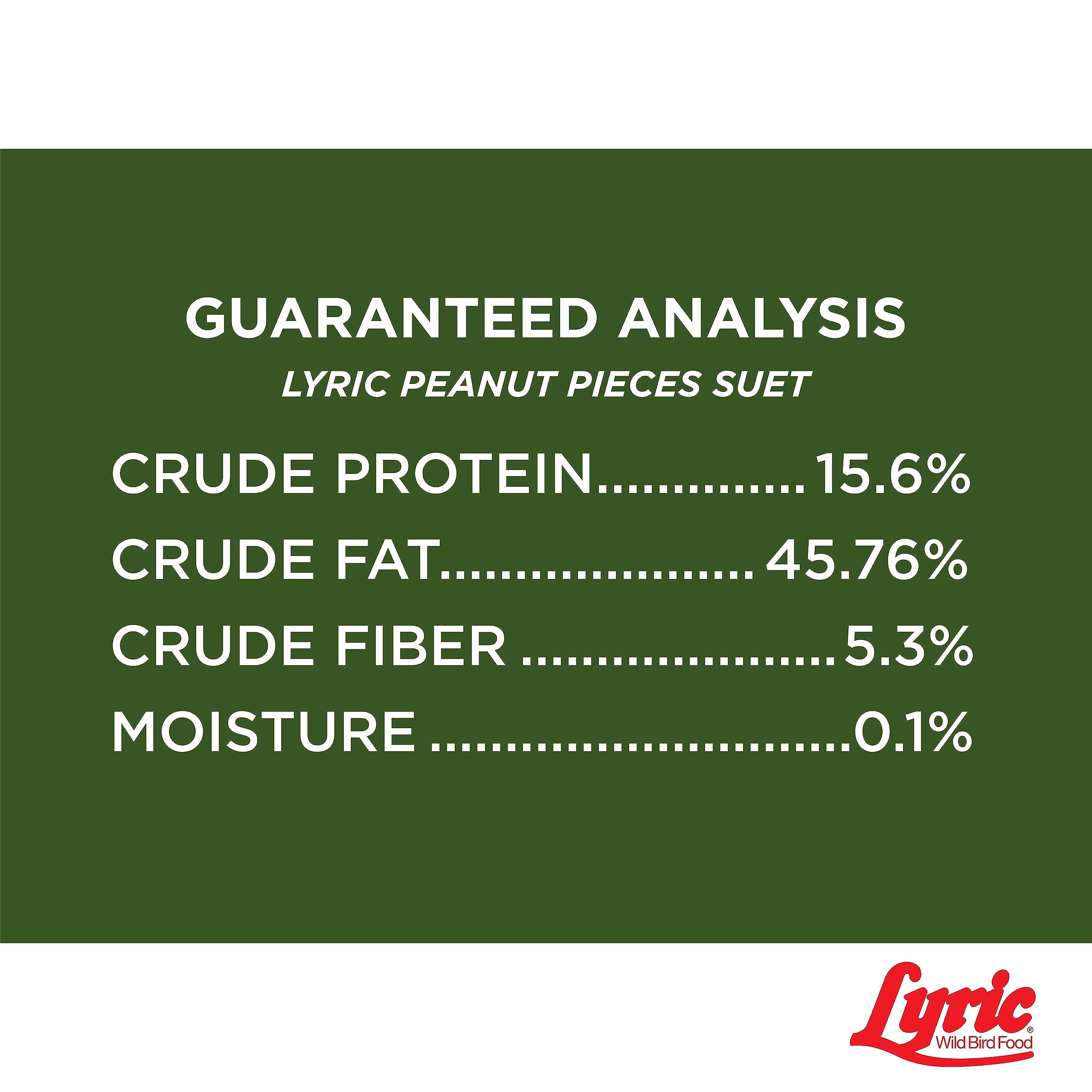 Lyric Seed and suet feeder combo supports year-round feeding